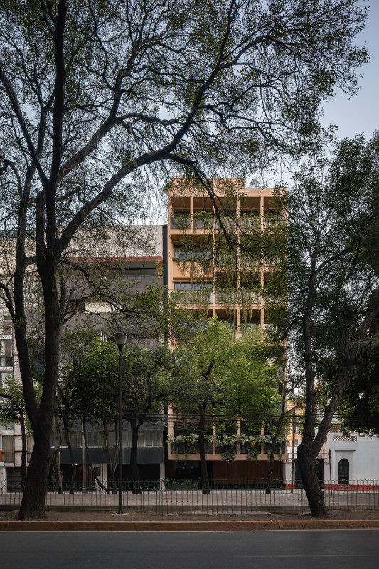 Imagen de desarrollo