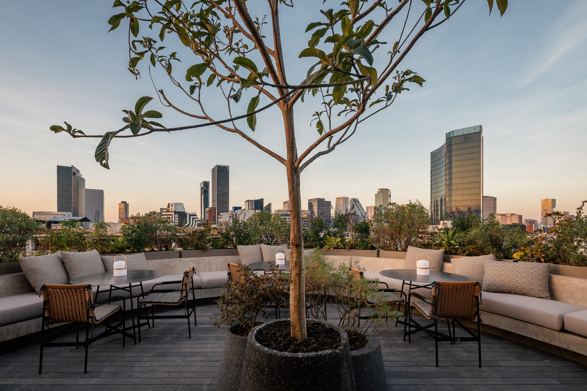 Roof Garden