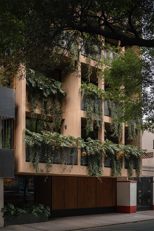 Nuevo León, proyecto residencial de arquitectura contemporánea desarrollado por SEDE Desarrollos en una ubicación estratégica de la Ciudad de México.